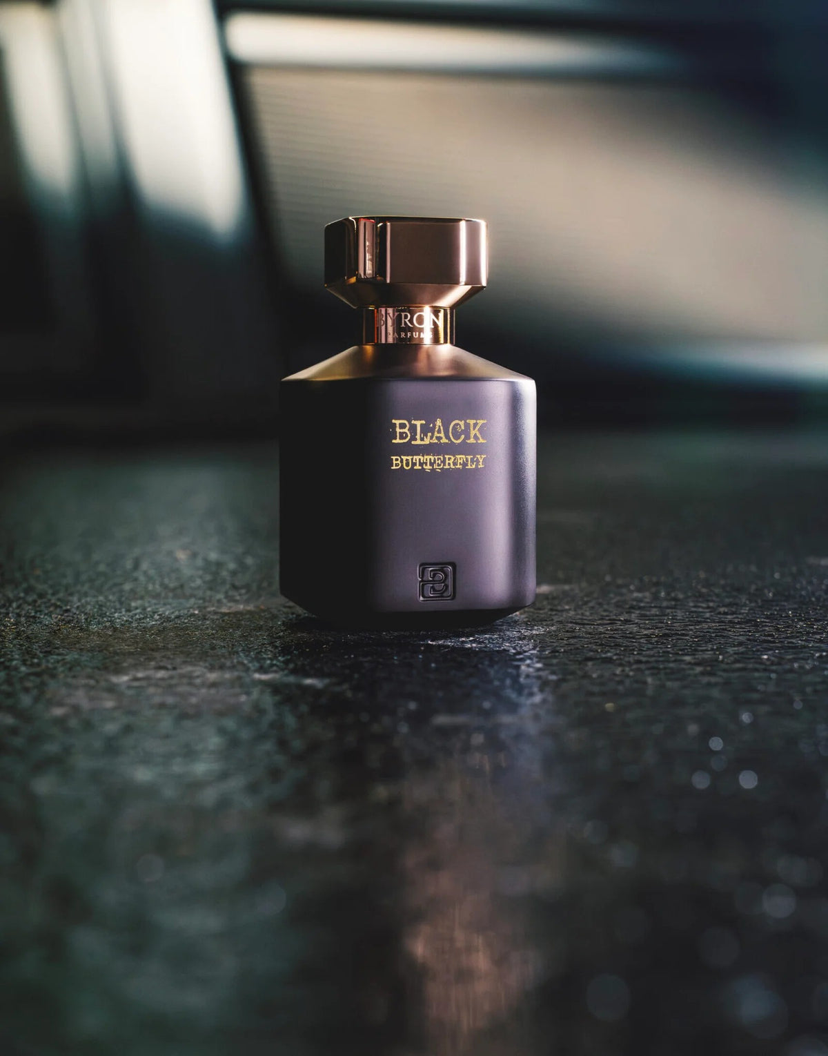 Black butterfly